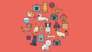 Animal Care Club 1 (age guide 5 – 12) Friday 11am