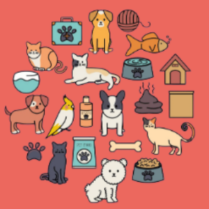 Animal Care Club 1 (age guide 5 – 12) Friday 11am