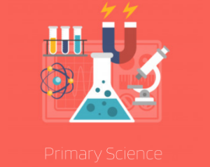 Primary Science including human biology (age guide 6 – 9) Friday 12pm