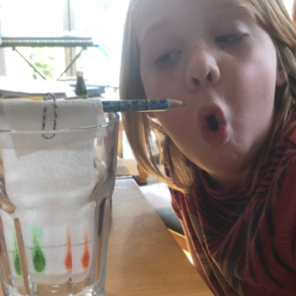 children taking part in play based learning activities in home education UK